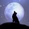 Dark Shadow
